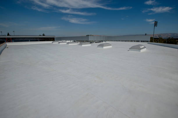 Best Sheet Metal Roofing  in Golf Manor, OH